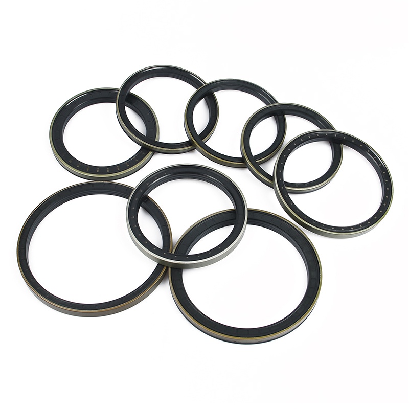 Cassette Oil Seal Wheel Hub Oil Seals For Truck Rubber Oil Seal 