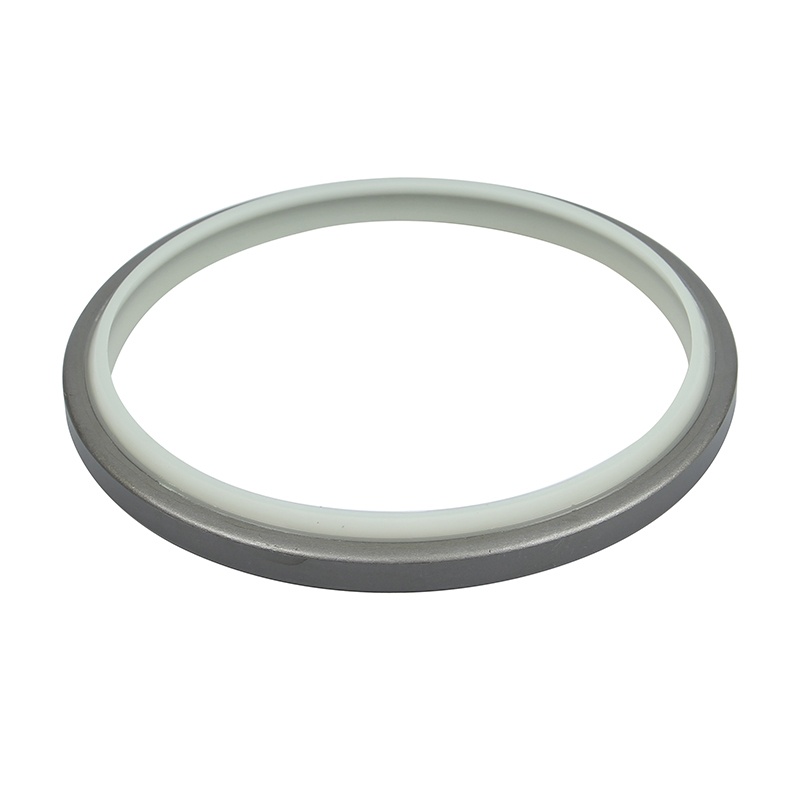 Dkb/Dkbi Hydraulic Cylinder Oil Seal NBR Dust Seal Sealing Ring