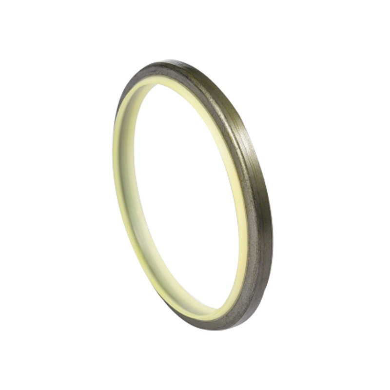 Skeleton Oil Seal Hydraulic Aeal Dkbi Seal Non-Standard Customized ...