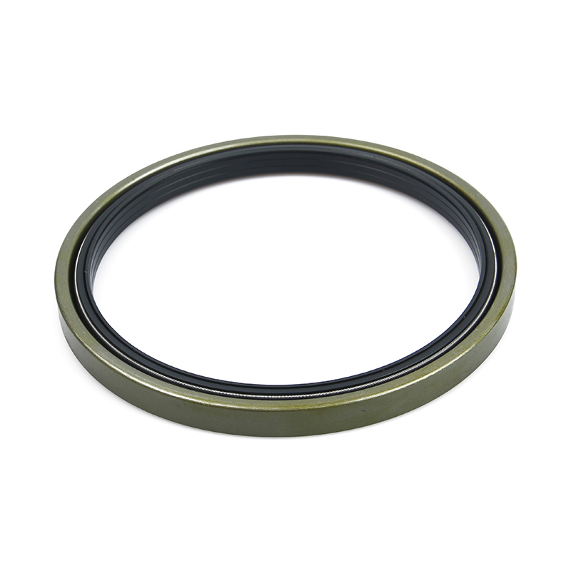 Cassette Oil Seal Wheel Hub Oil Seals for Truck Rubber Oil Seal Mechanical Seal