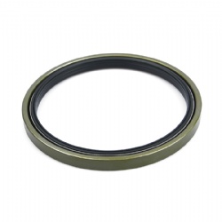 Cassette Oil Seal Wheel Hub Oil Seals for Truck Rubber Oil Seal Mechanical Seal