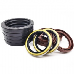 Differential Hub Oil Seal NBR FKM Rubber Oil Seal Tc Tb Ta DC Oil Seal Crankshaft Oil Seal