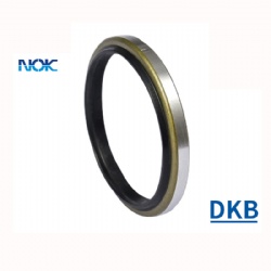 Framework Oil Seal Rubber Oil Seal POF Framework Oil Seal Dkb Imported Seal Hydraulic and Pneumatic Nok Seal Manufacturer