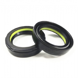 Nak Brand Automobile Steering Machine Cnb1w11 Power Steering Oil Seal Rubber Oil Seal Hydraulic Seal