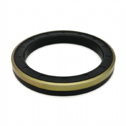 Oil Seals Labyrinth Type Cassette Oil Seal Wheel Hub Oil Seal Rubber Oil Seal