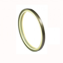 Skeleton Oil Seal Hydraulic Aeal Dkbi Seal Non-Standard Customized ...