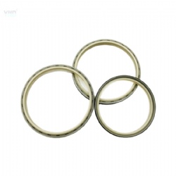 The Specifications of Dkb / Dkbi Oil Cylinder Dust Seal and Polyurethane Dust Seal Ring Are Complete